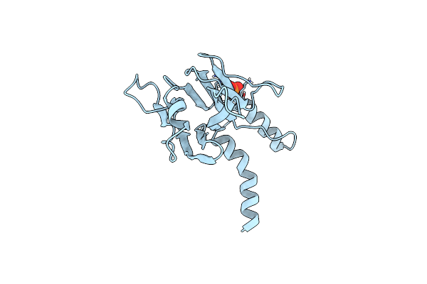 5OEM image