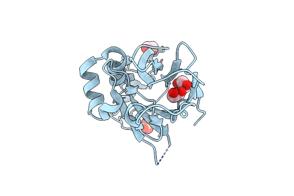 5OF2 image
