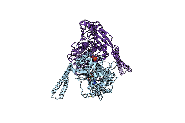 5OFA image