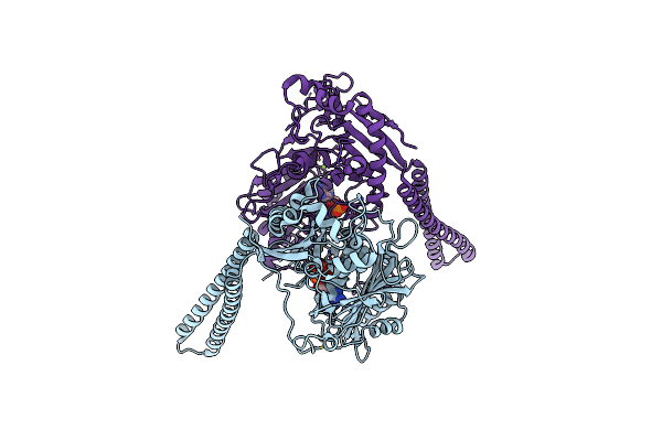 5OFB image