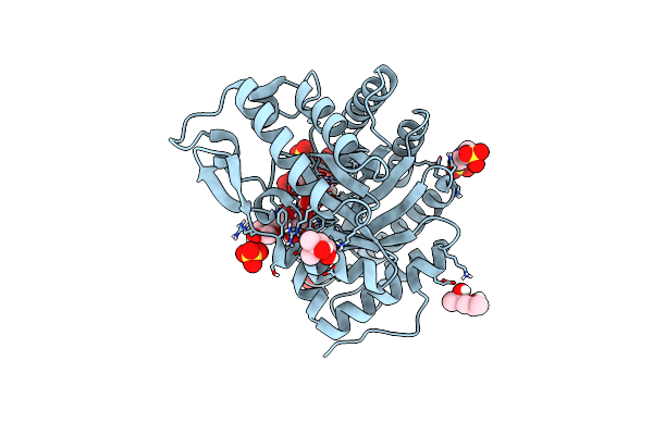 5OFK image