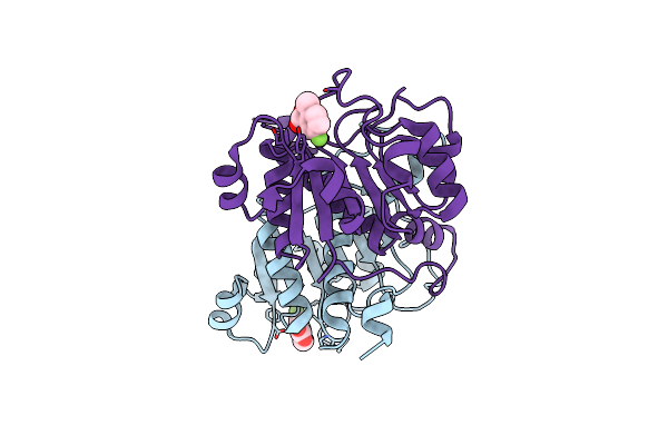 5OFV image