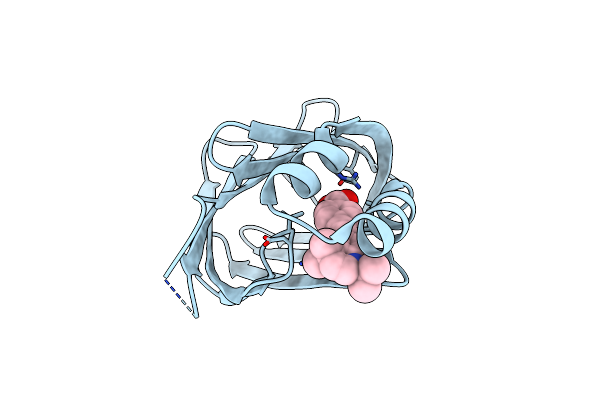 5OGB image