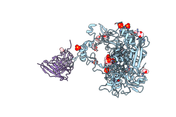 5OGI image