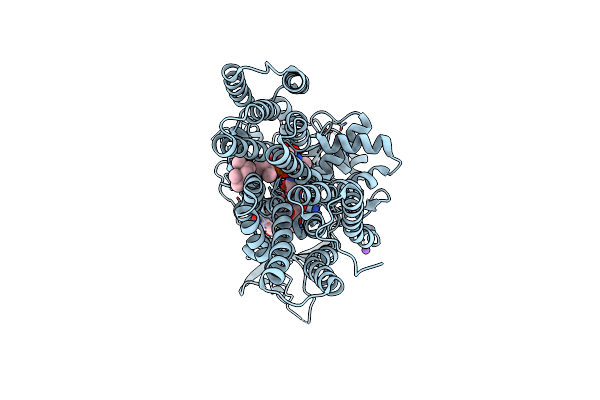 5OGL image