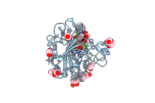 5OGO image