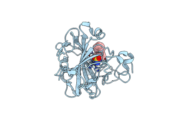 5OGP image