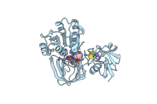 5OGX image