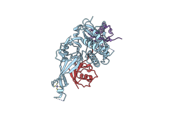 5OHP image