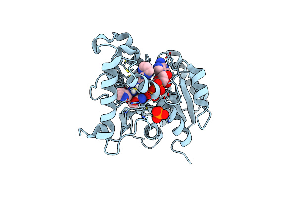 5OIP image
