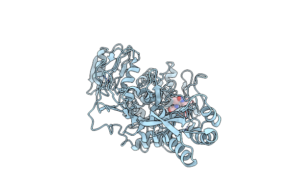 5OIZ image