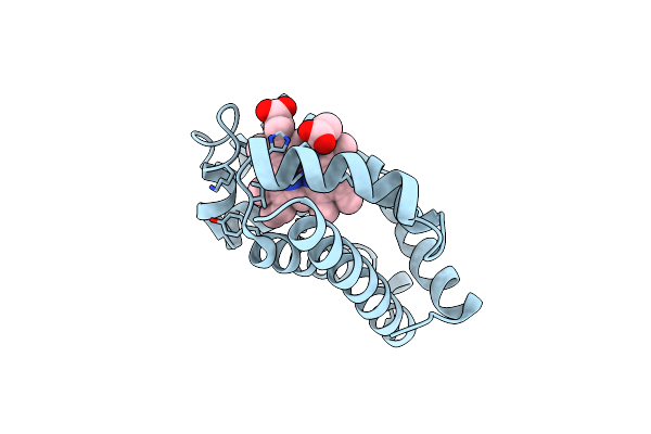 5OJA image