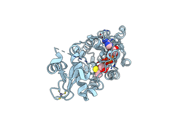 5OJN image