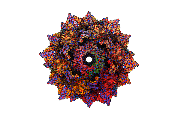 5OJQ image