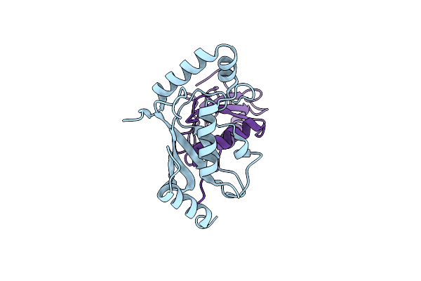 5OJW image