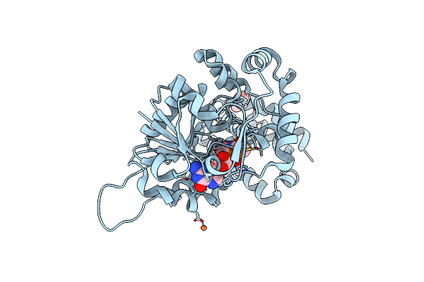 5OK4 image