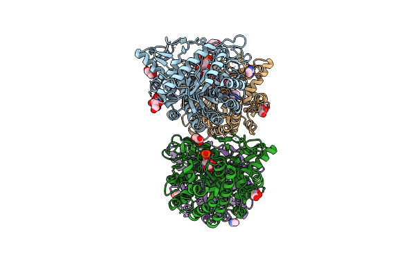 5OKG image
