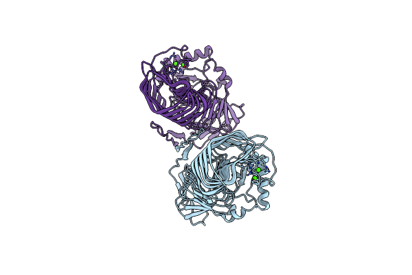 5OLP image