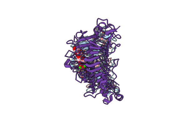 5OLR image