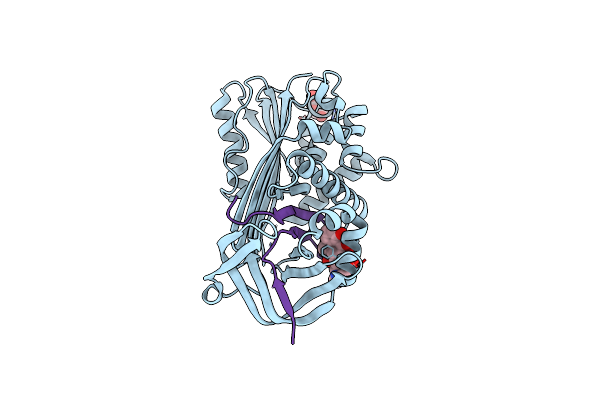 5OM3 image