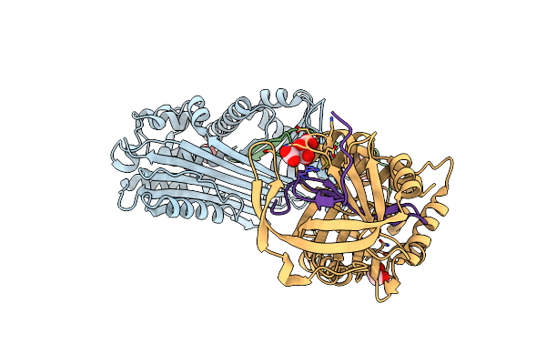 5OM6 image