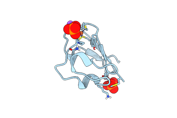 5OME image