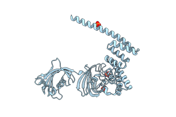 5OMP image