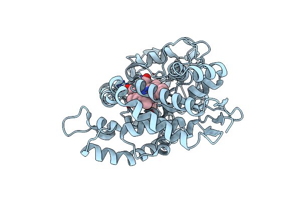 5OMR image
