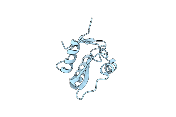 5OMT image