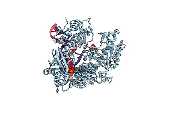 5OMV image