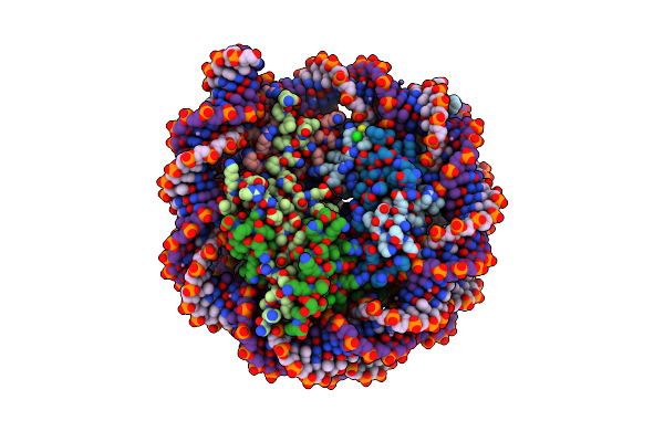5OMX image