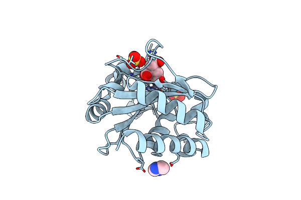 5ONK image