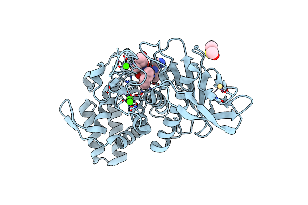 5ONP image