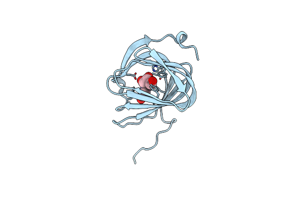 5OO4 image