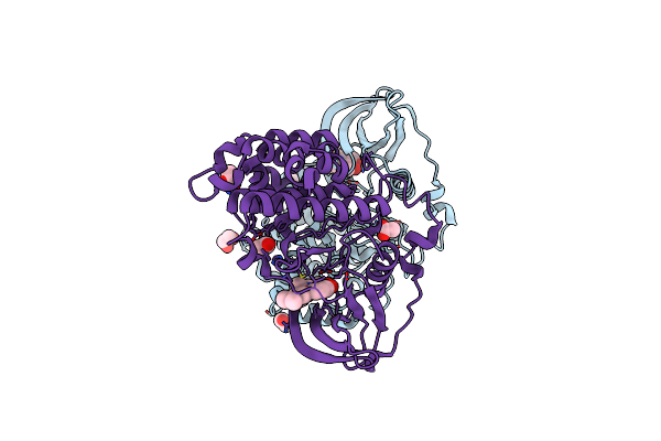 5OOI image