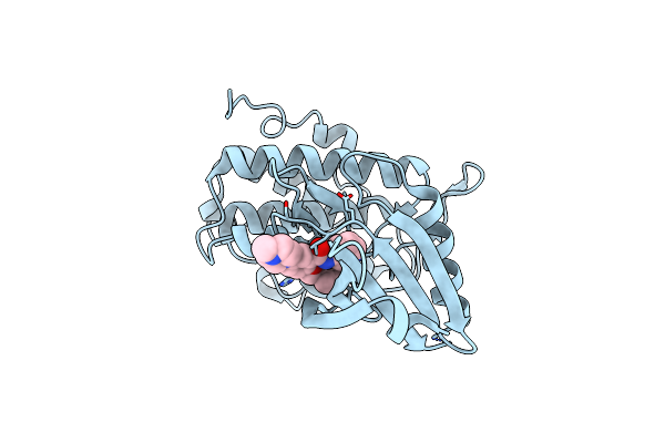 5OP2 image
