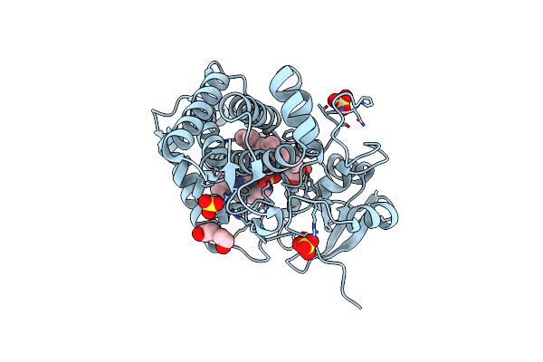 5OPA image