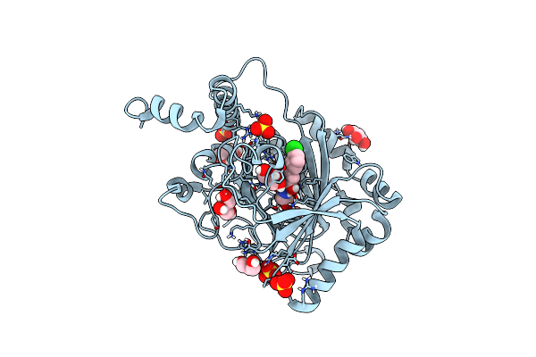 5OPC image