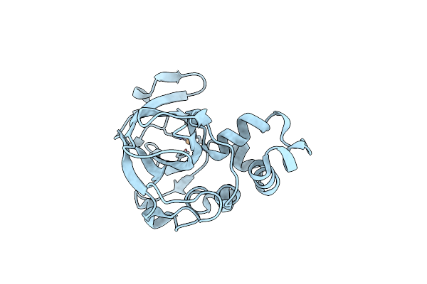 5OPF image