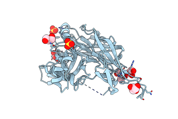 5OPG image