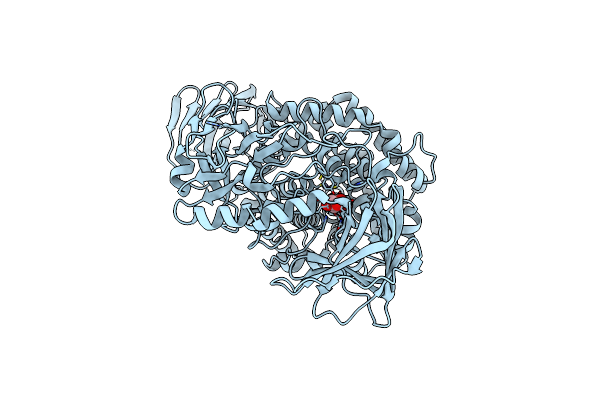 5OPJ image