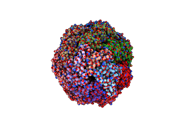 5OPX image