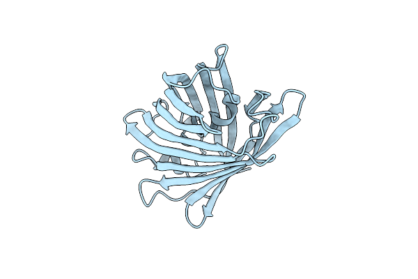 5OQA image