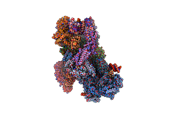5OQM image
