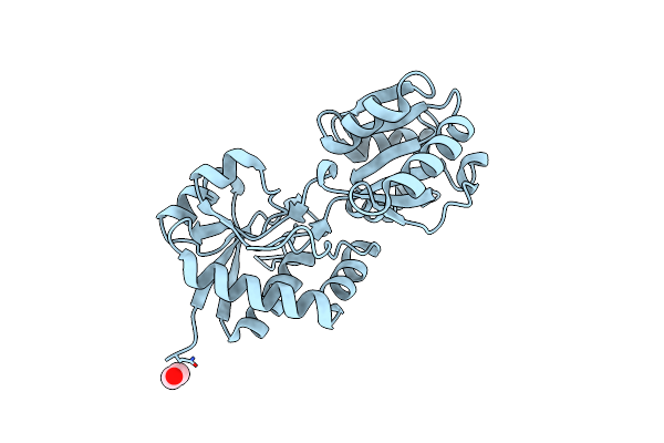 5ORE image