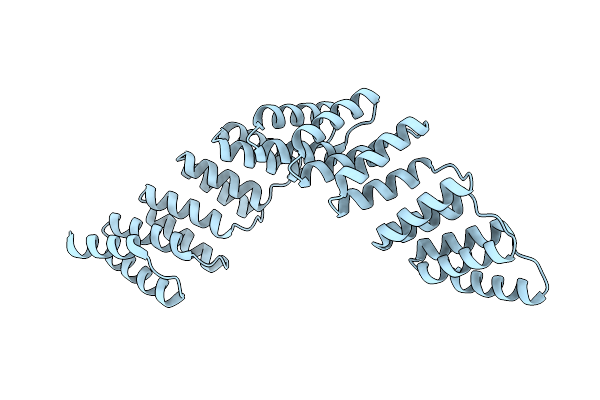 5ORM image