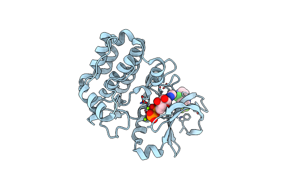 5ORP image