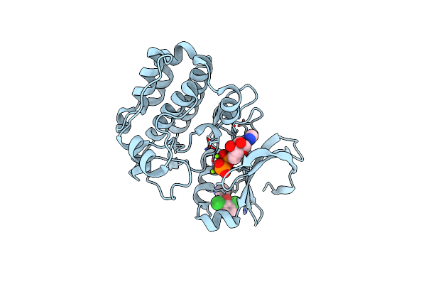 5ORX image