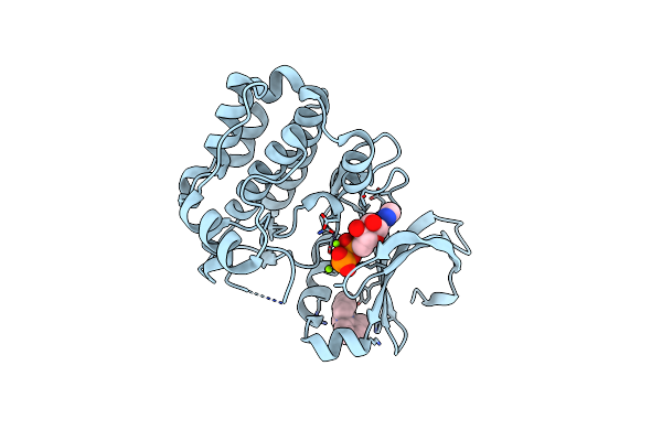 5OS2 image