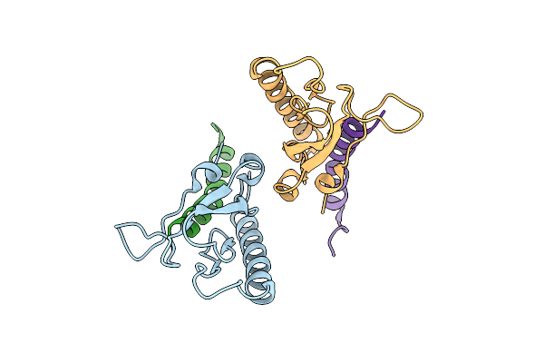 5OTX image